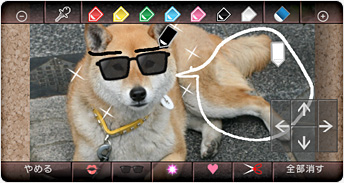 Wii