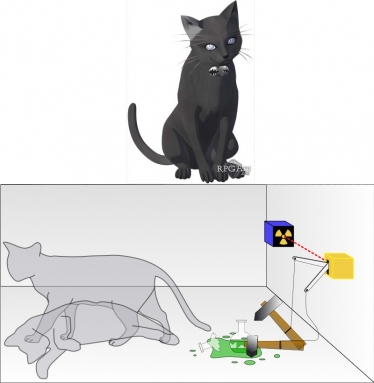 Schrodinger El gato Schrödinger en DDS (arriba) y la paradoja de la física cuántica que lleva su nombre (abajo).